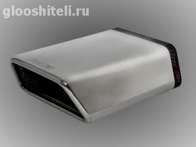 ZZ 310