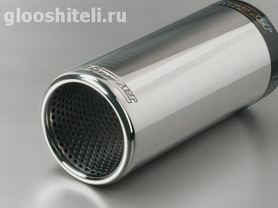 ZZ 81